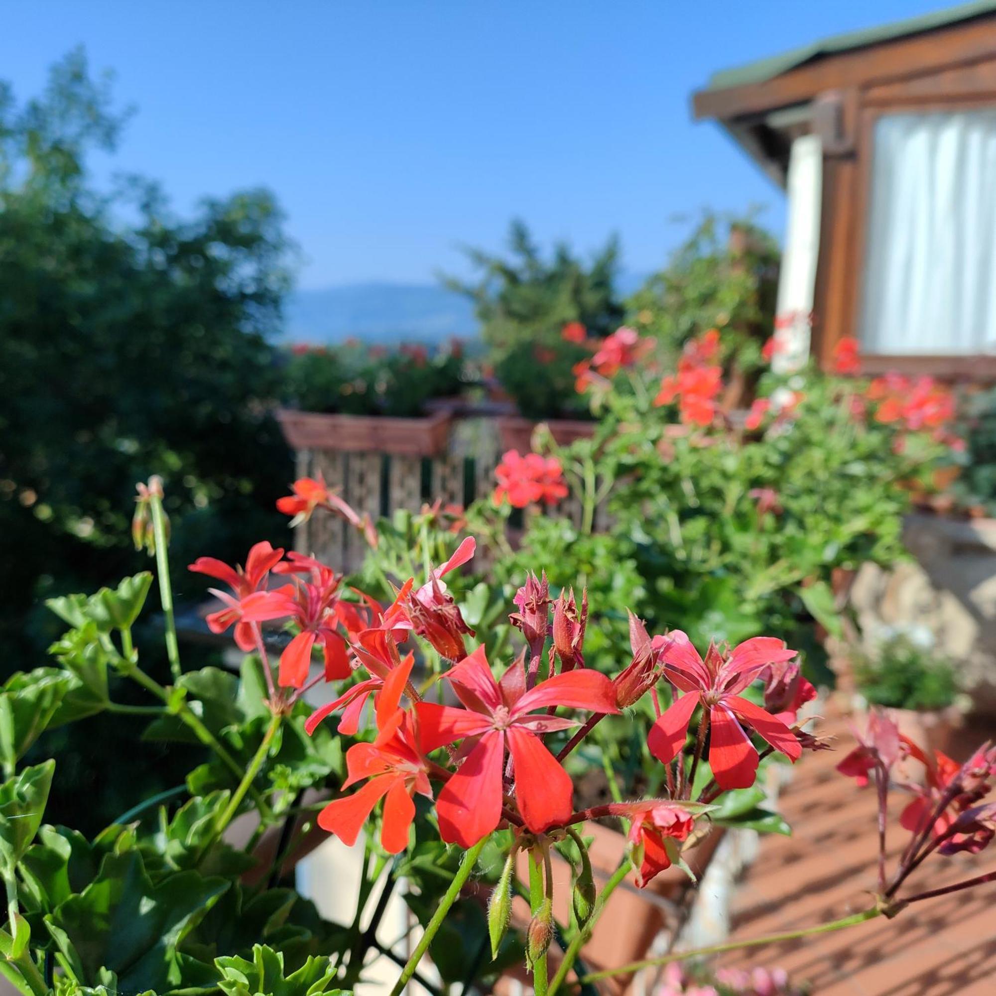 Casa Vacanza In Casentino Bibbiena Buitenkant foto
